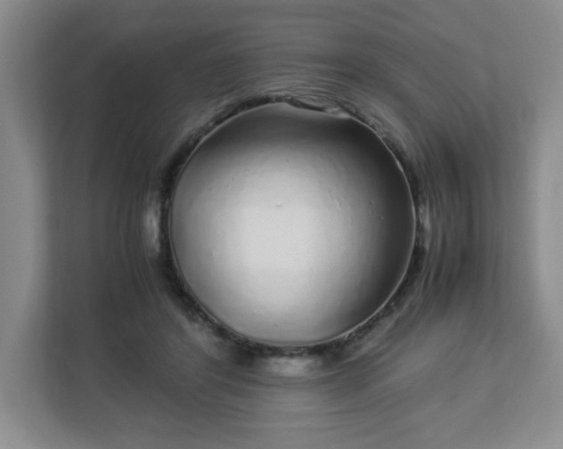 X0000113040404200909031316