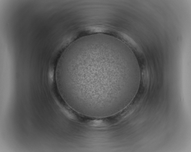 X0000113040406200909031316