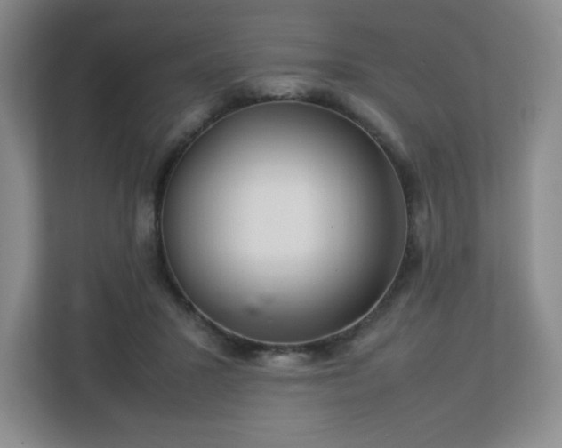 X0000113040407200909031316