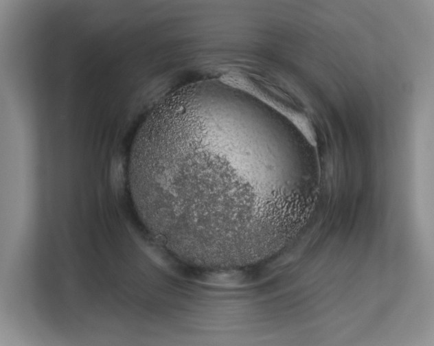 X0000113040410200909031316