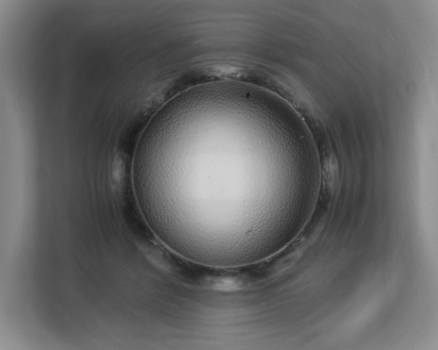 X0000113040412200909031316