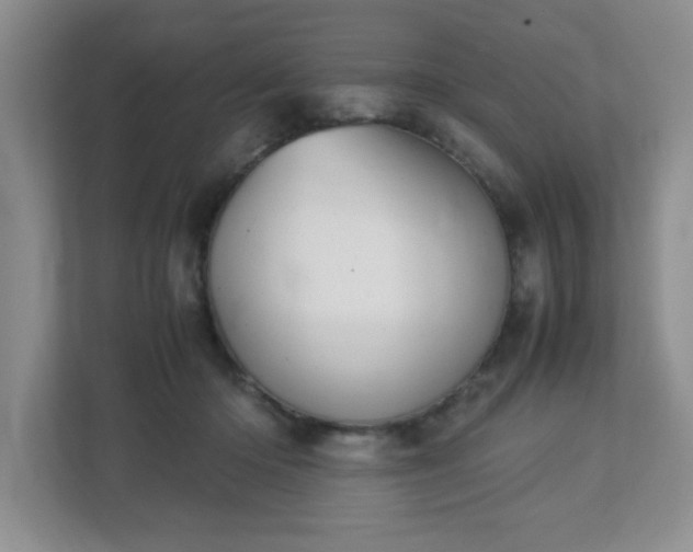 X0000113040414200909031316