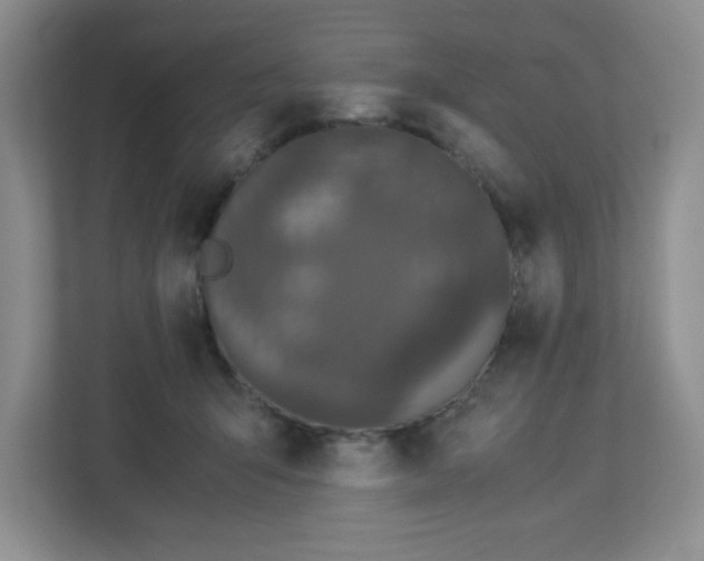 X0000113040415200909031316