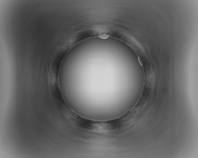 X0000113040417200909031316