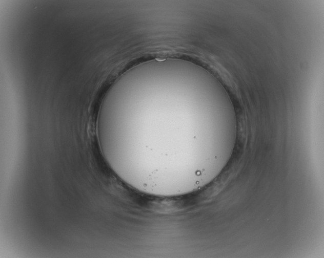 X0000113040419200909031316