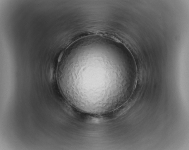 X0000113040420200909031316