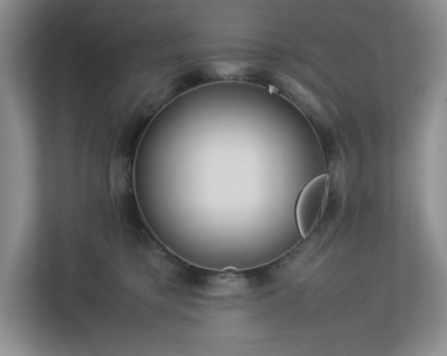 X0000113040421200909031316