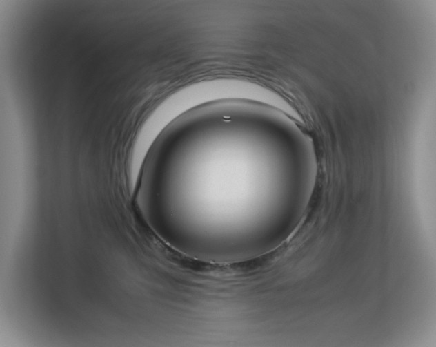 X0000113040423200909031316