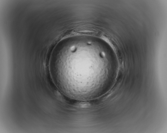 X0000113040424200909031315