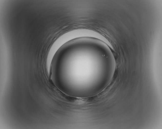 X0000113040425200909031315