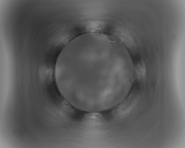 X0000113040427200909031315