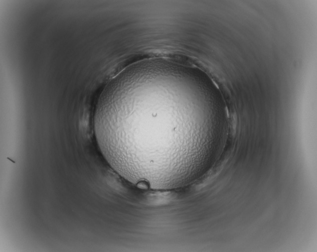 X0000113040428200909031315