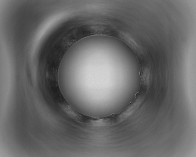 X0000113040430200909031315