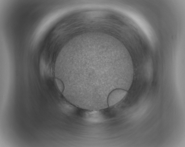 X0000113040431200909031315