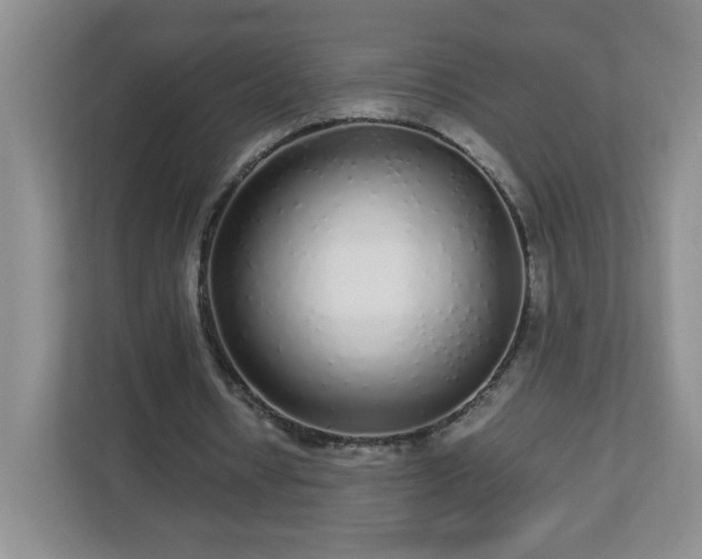 X0000113040434200909031315