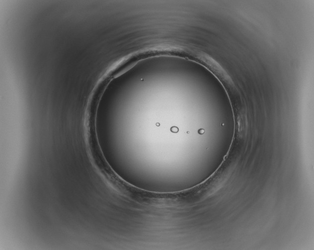 X0000113040436200909031315