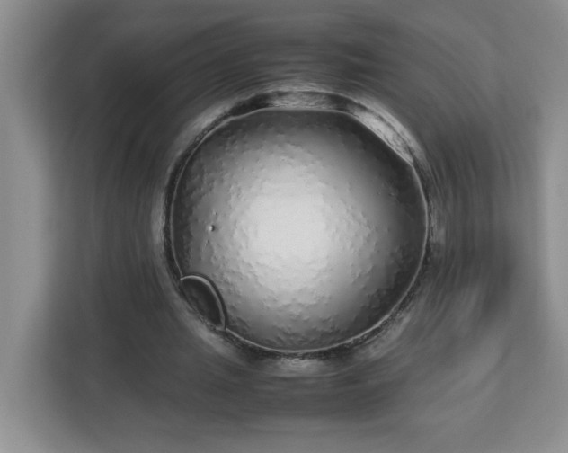 X0000113040437200909031315