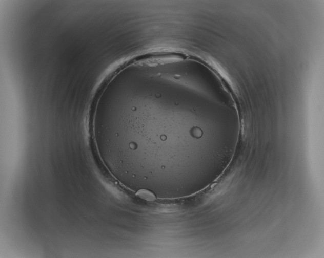 X0000113040438200909031315