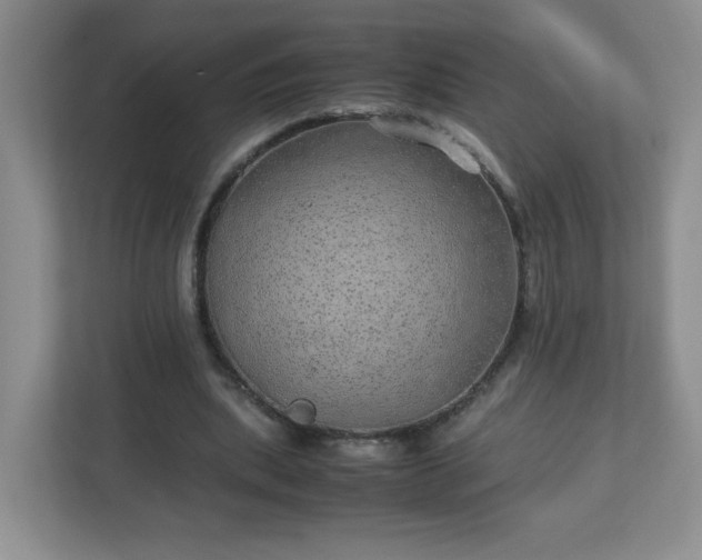 X0000113040439200909031315