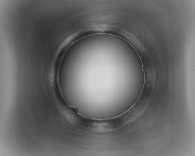 X0000113040440200909031315