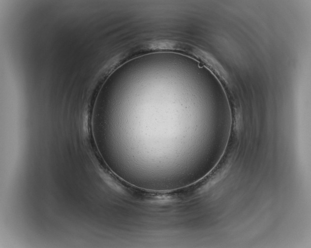 X0000113040441200909031315