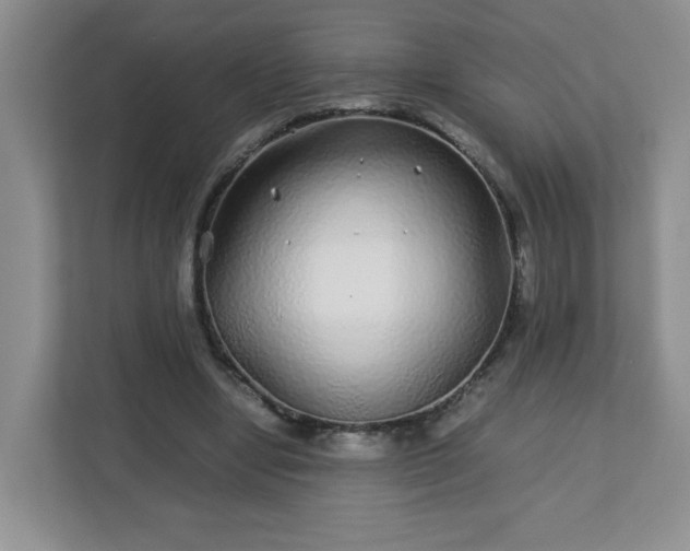 X0000113040442200909031315