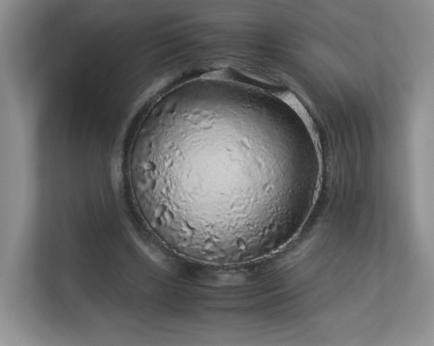 X0000113040443200909031315