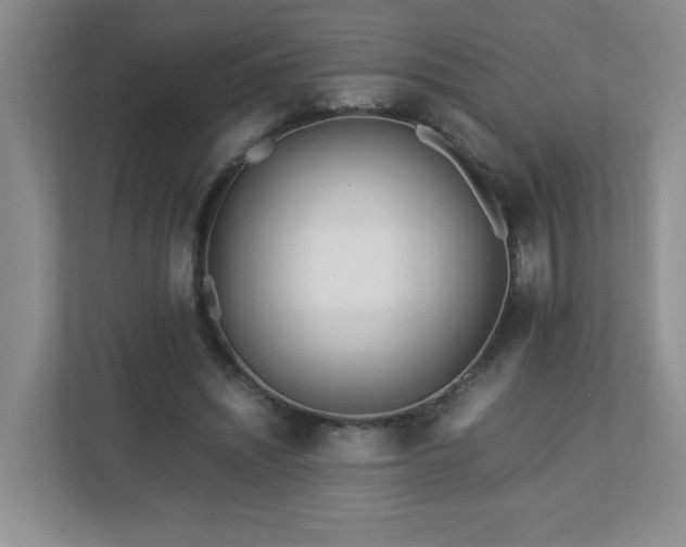 X0000113040444200909031315