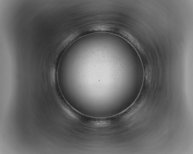 X0000113040445200909031315