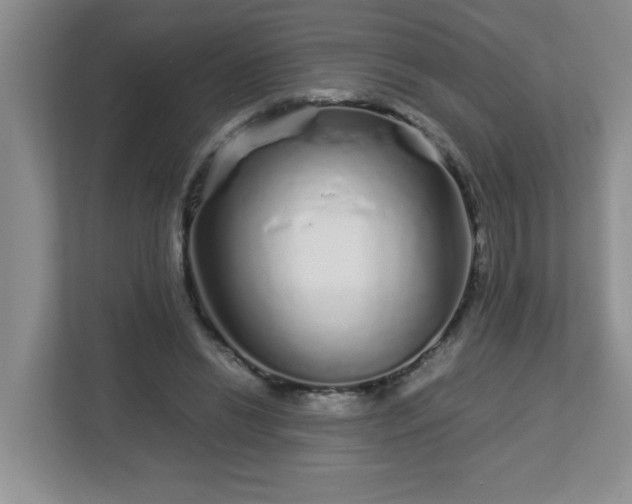 X0000113040446200909031315