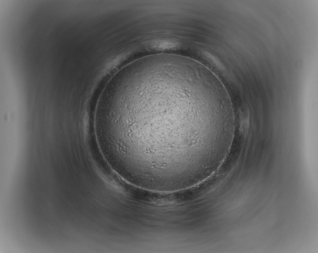 X0000113040447200909031315