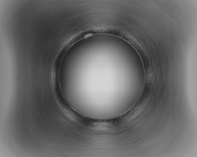 X0000113040448200909031315