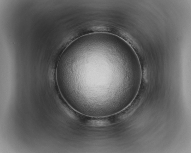 X0000113040449200909031315