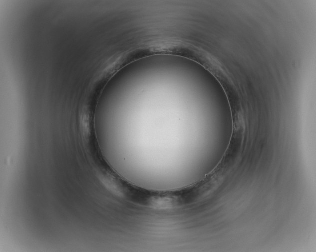 X0000113040452200909031315