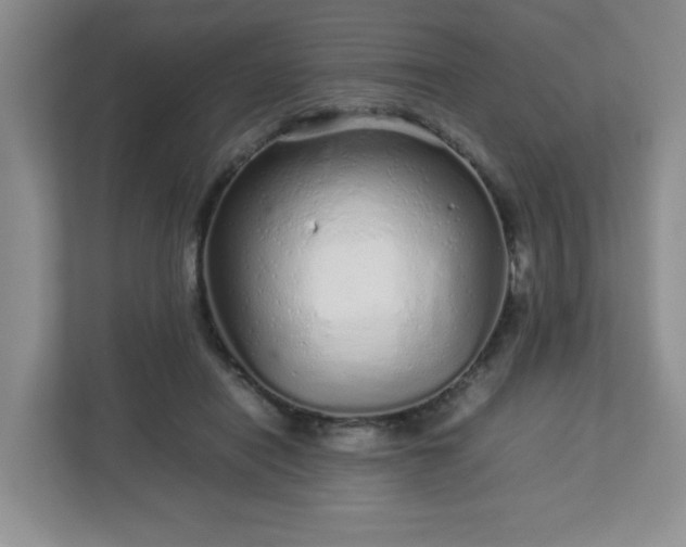 X0000113040454200909031315