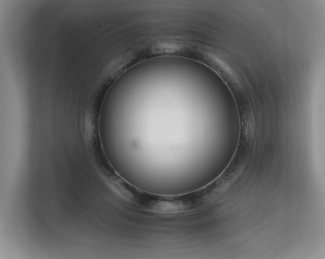 X0000113040455200909031315