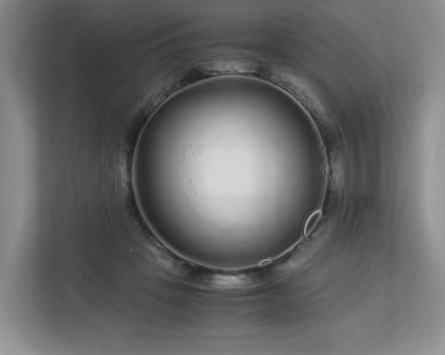 X0000113040457200909031315