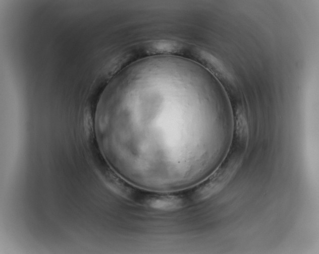 X0000113040459200909031315