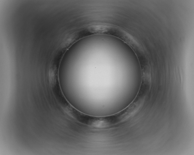 X0000113040460200909031315