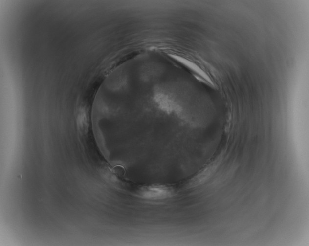 X0000113040475200909031315