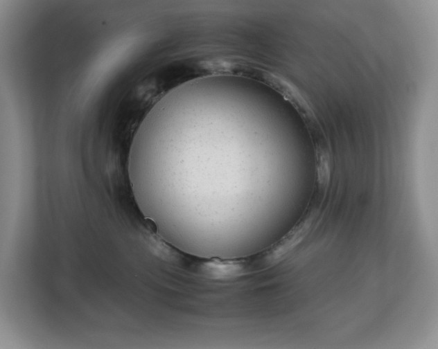 X0000113040477200909031315