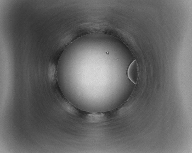 X0000113040480200909031315