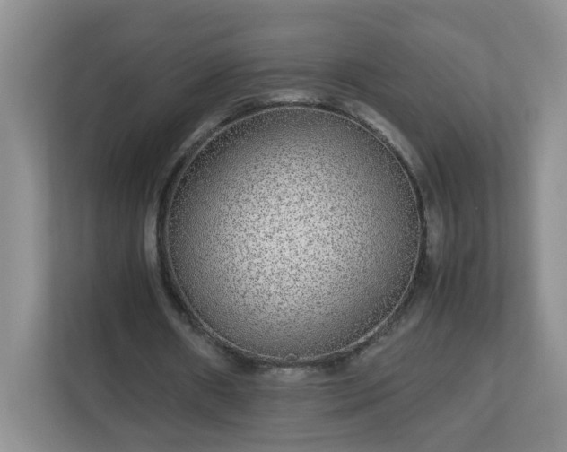 X0000113040482200909031315