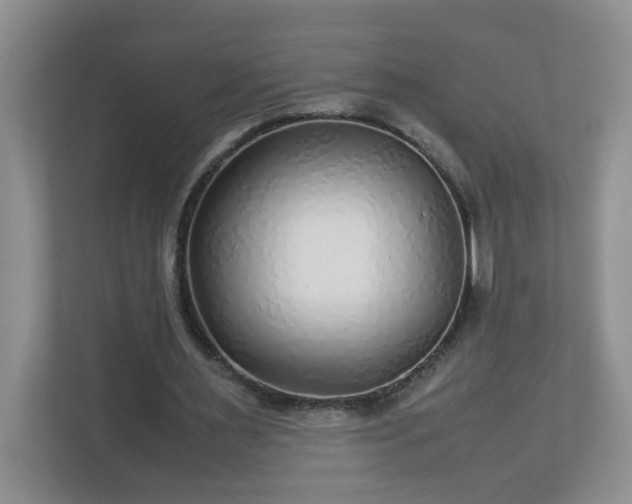 X0000113040483200909031315