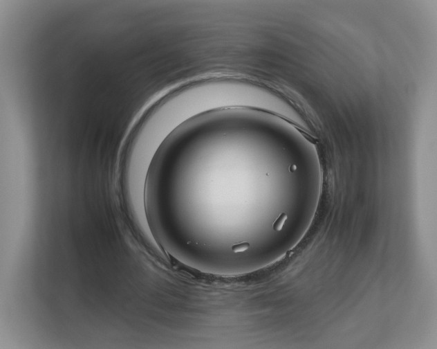 X0000113040484200909031315