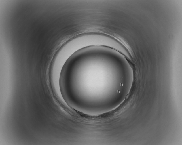 X0000113040485200909031315