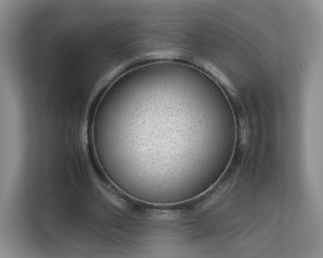 X0000113040486200909031315