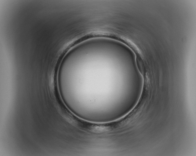 X0000113040487200909031315