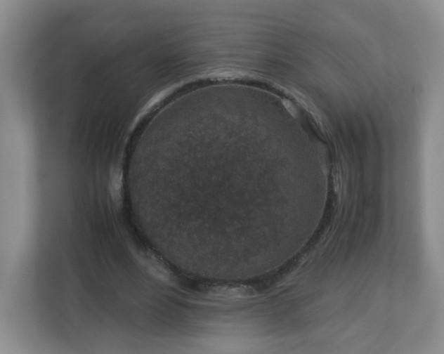 X0000113040488200909031315