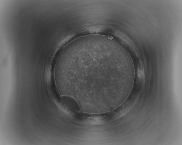 X0000113040492200909031315